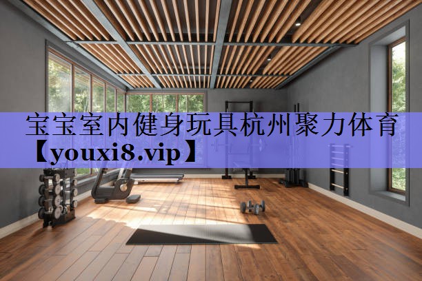 宝宝室内健身玩具杭州聚力体育