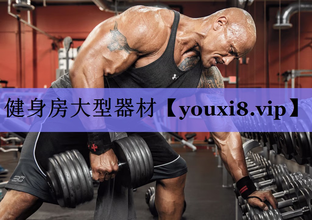 健身房大型器材 健身房大型器材